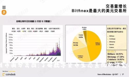 区块链币圈分离图：了解数字货币生态系统的演变与未来