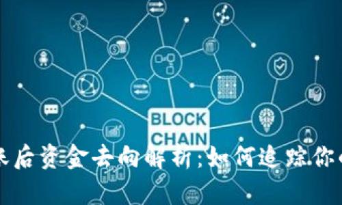 TP钱包转账后资金去向解析：如何追踪你的数字资产