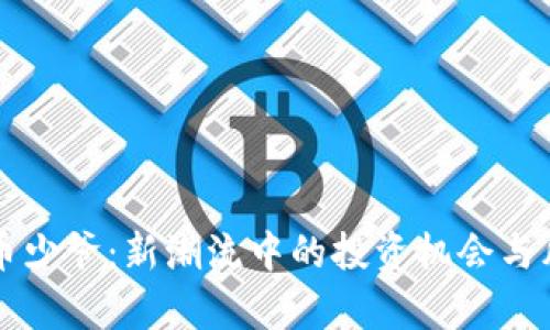 区块链币少爷：新潮流中的投资机会与风险解析