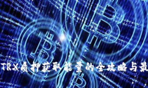 TP钱包TRX质押获取能量的全攻略与最佳实践
