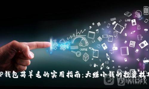 TP钱包薅羊毛的实用指南：大赚小钱的投资技巧