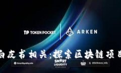 炒币是否与白皮书相关：