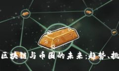 深入探索区块链与币圈的