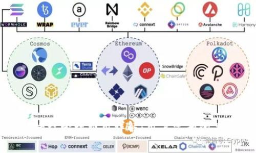 TP钱包授权管理费用详解：用户需知的关键信息