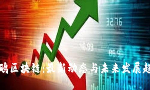 乐鸥区块链：最新动态与未来发展趋势