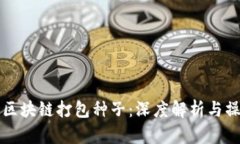 比特币区块链打包种子：