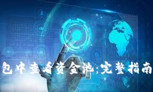 如何在TP钱包中查看资金池：完整指南与详细步骤