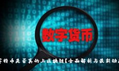 赛特币是否真的上区块链