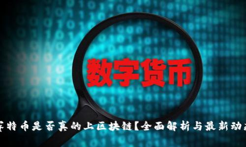 赛特币是否真的上区块链？全面解析与最新动态
