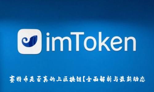 赛特币是否真的上区块链？全面解析与最新动态