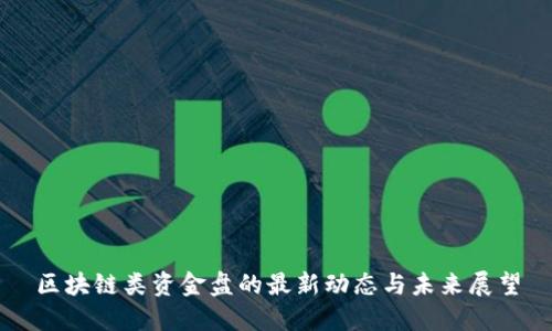 区块链类资金盘的最新动态与未来展望