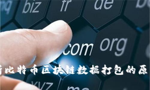 全面解析比特币区块链数据打包的原理与应用