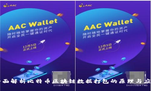 全面解析比特币区块链数据打包的原理与应用